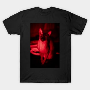 The Watcher T-Shirt